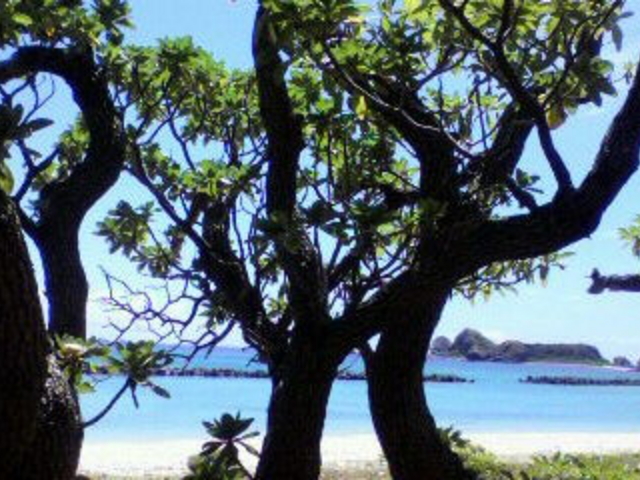 �������[�B_���Ó�