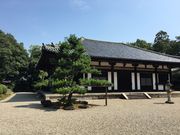 takeapplȅH{̓eʐ^1