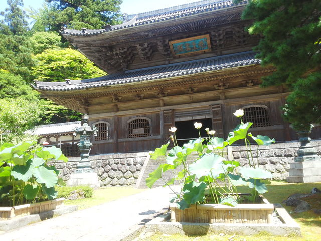 ��{�R�i����_�����@��{�R�i����