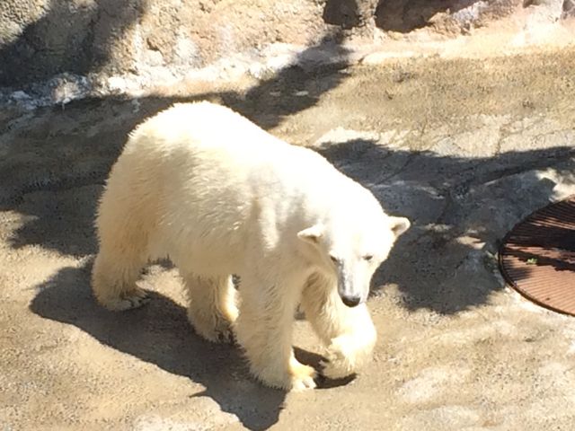 ���n�̂��낭��_���R������