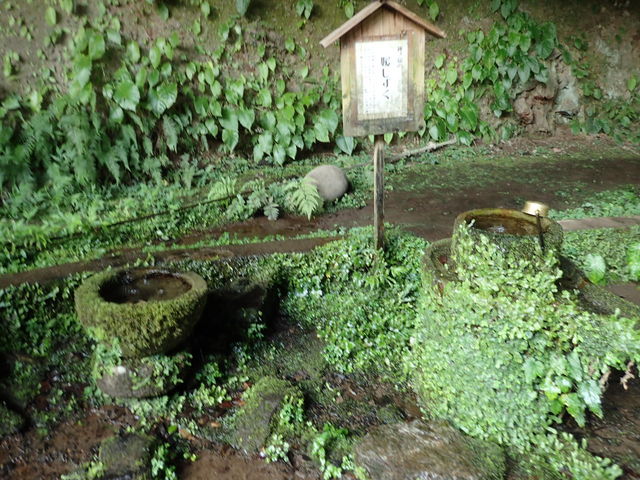 �H�������Ă��܂��B���ɂʂ�Δ������Ȃ�̂��Ƃ��B_�����ÕQ�_��