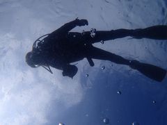 doollỹ_CrOVbvMIUւ̓eʐ^1