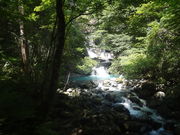 �܂�݂���̂�����т̑�̓��e�ʐ^1