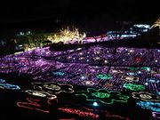 ZpĈ݌΃vW[tHXg@pfBg xAELvOEh̓eʐ^1