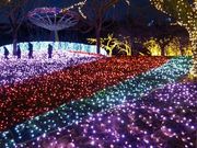 ZpĈ݌΃vW[tHXg@pfBg xAELvOEh̓eʐ^3