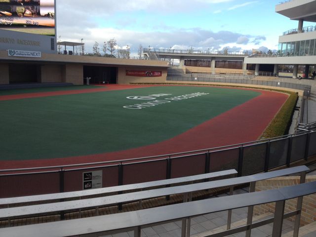 �L���C�ȃp�h�b�N�ł�_�������n��