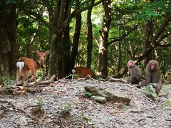 arl.1017̐ѓւ̓eʐ^1