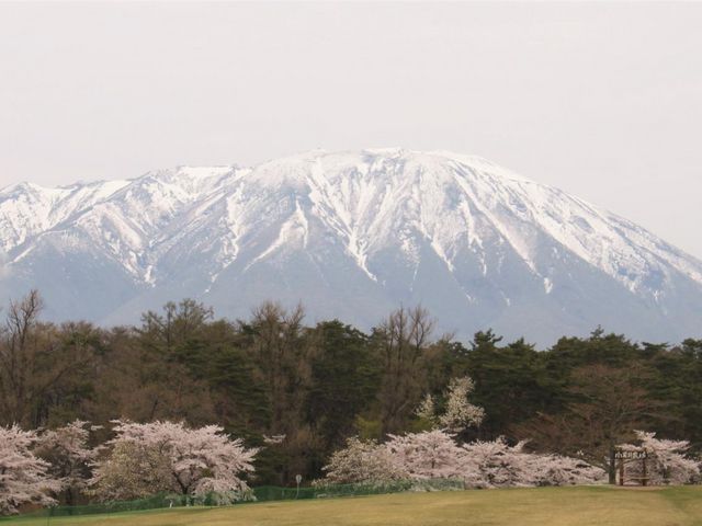 ���R�ƍ�_�����_�ꂩ��̊��R