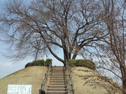 komô̗V{R̓eʐ^2