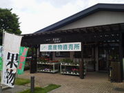 komôق̗ V̓̓eʐ^4