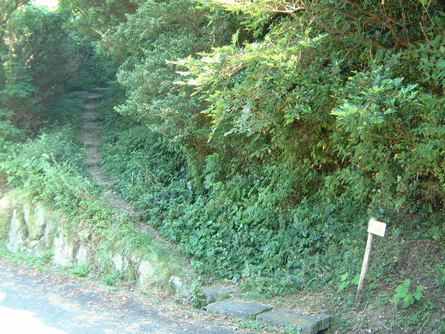 Ԃ񂳂̃OC_[R̓eʐ^3