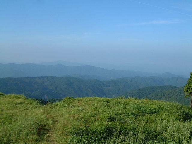 ��������_���R