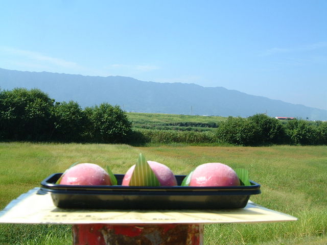 Ԃ񂳂̓cۉَqX@ۉ̓eʐ^2