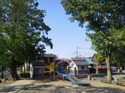 komo����̂����܌����̓��e�ʐ^3