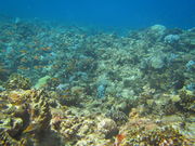 ₾炳̌cǊԏӂ̓eʐ^2