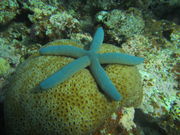 ₾炳̌cǊԏӂ̓eʐ^3