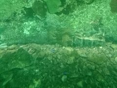 肹̋{_CrOZ^[ւ̓eʐ^1