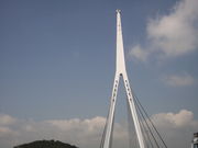 sJ񂳂̎RlRώ@̓eʐ^5