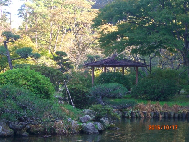 �r�ɂ͌�����ς����܂����B_�V��t���R����