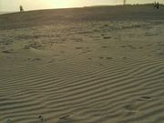 ̂񂽂񂳂̕lu̓eʐ^1