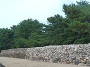 peko̐̏iC݁j̓eʐ^1