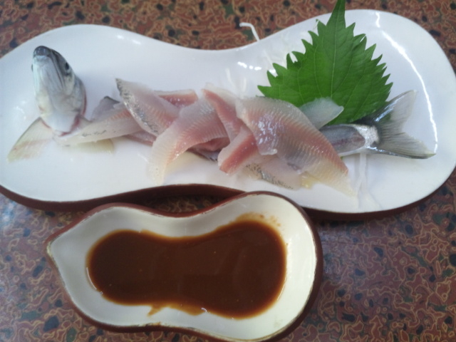 �h�g_���ˉ���