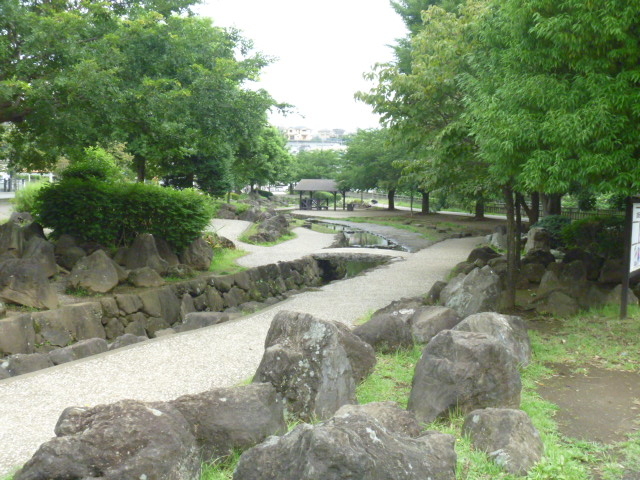 �g�V���[����̊C�V���s�k�������̓��e�ʐ^1