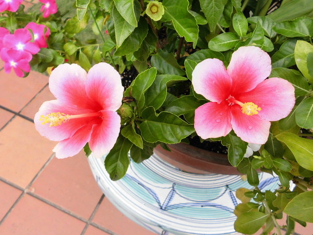 �����H_�������