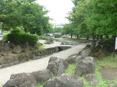 �g�V���[����̊C�V���s�k�������ւ̓��e�ʐ^1