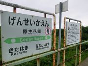 񂳂̏ԉCtH[VZ^[@Hana̓eʐ^2