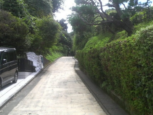 �k���q�����������֌�����_�T���J��ؒʂ�