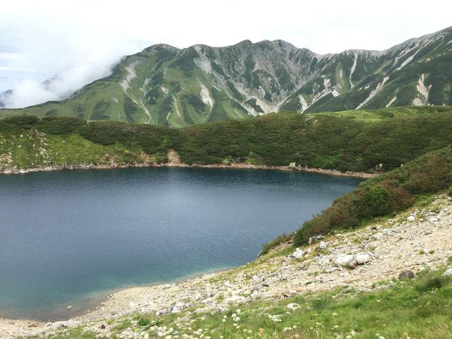 �[���F�����̒r_�݂��肪�r