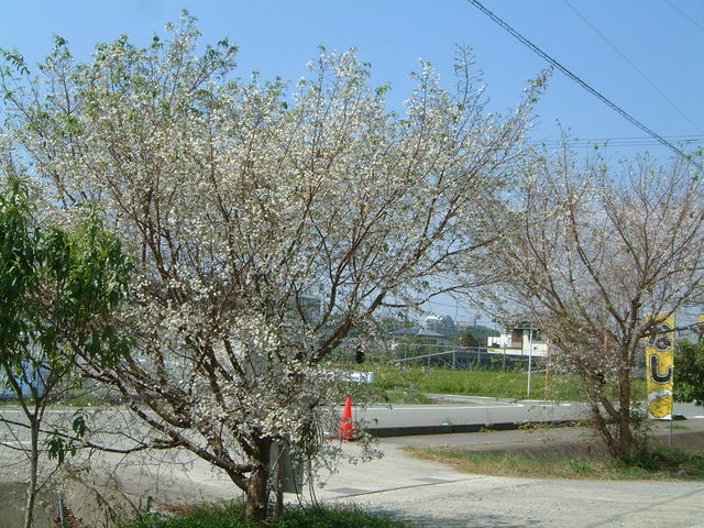 10����_�_�Y���������L�삭�����̑�