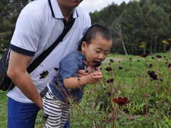 }J̔][gAJVA̐X@W]tgւ̓eʐ^1