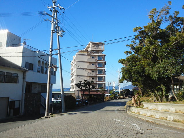 �ԕ䉷��_�ԕ䉷��