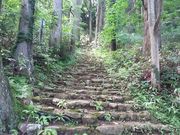 ]ˉƉL̐^R_Ђ̓eʐ^9