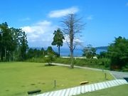 usa̓̉w ̂Ƃ܂̓eʐ^1