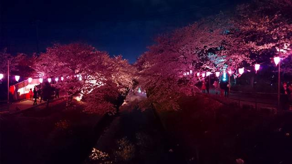 千葉 お花見に行こう 人気の桜の名所を集めました じゃらんニュース