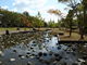 ひでちゃんさんの播磨中央公園の投稿写真1
