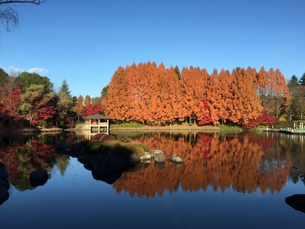 栃木の公園 庭園ランキングtop10 じゃらんnet