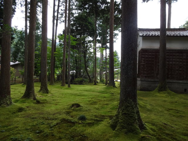 uGv̉bq̓m^ۂ̗̓eʐ^1