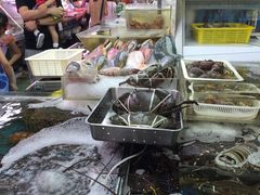 ��������̑��q�u���ݎs��ւ̓��e�ʐ^1