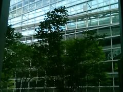 Happy̓ۃtH[ւ̓eʐ^1