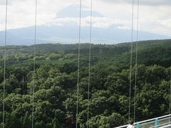 E̎OXJCEH[Nւ̓eʐ^1