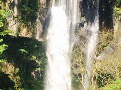 ������̎ʐ^1