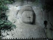 ike55jp̌F얁R̓eʐ^2