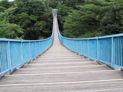 のんのんさんの八幡山公園（栃木県宇都宮市）への投稿写真1
