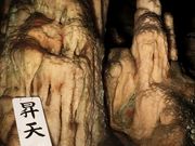 ނ炳񂳂̕Aߓ̓eʐ^2