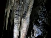 ނ炳񂳂̕Aߓ̓eʐ^3