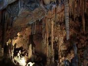 ނ炳񂳂̕Aߓ̓eʐ^4